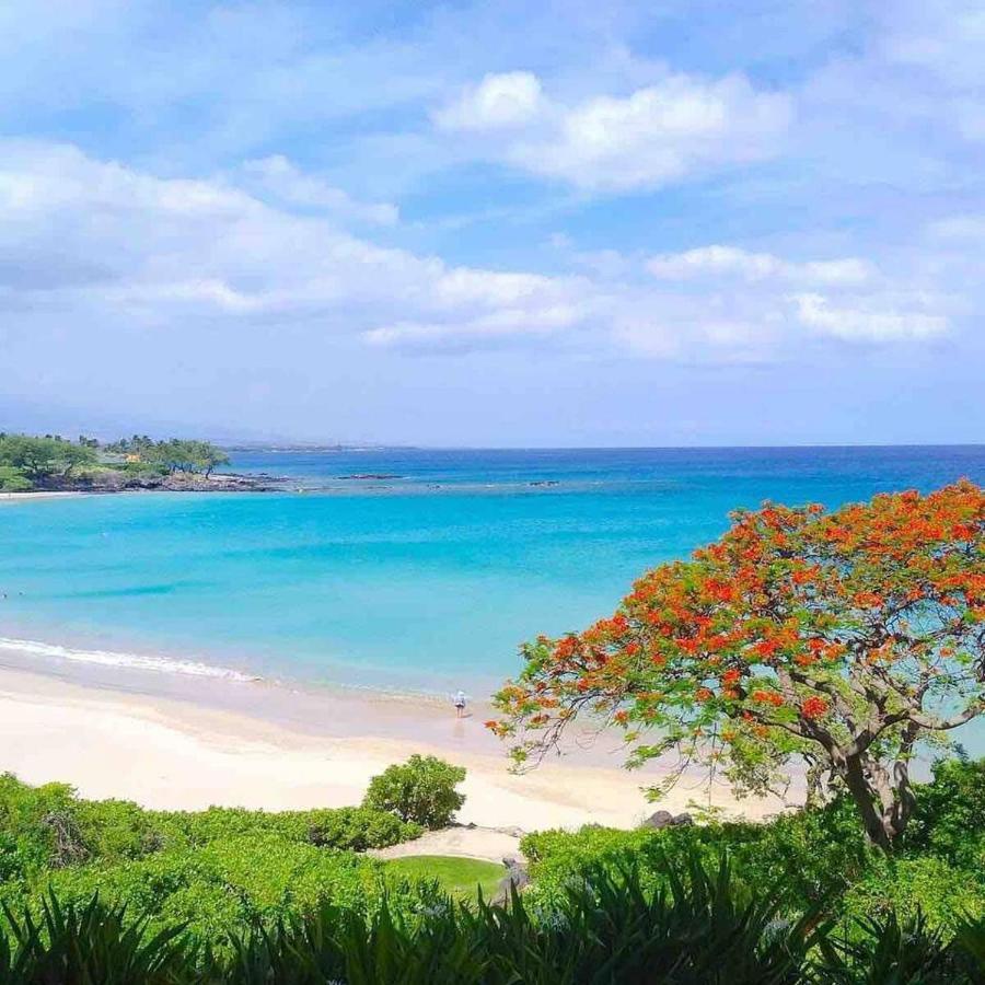 Family Friendly Kailua Bay View Ac Free Parking Walk To Kailua Village Zewnętrze zdjęcie